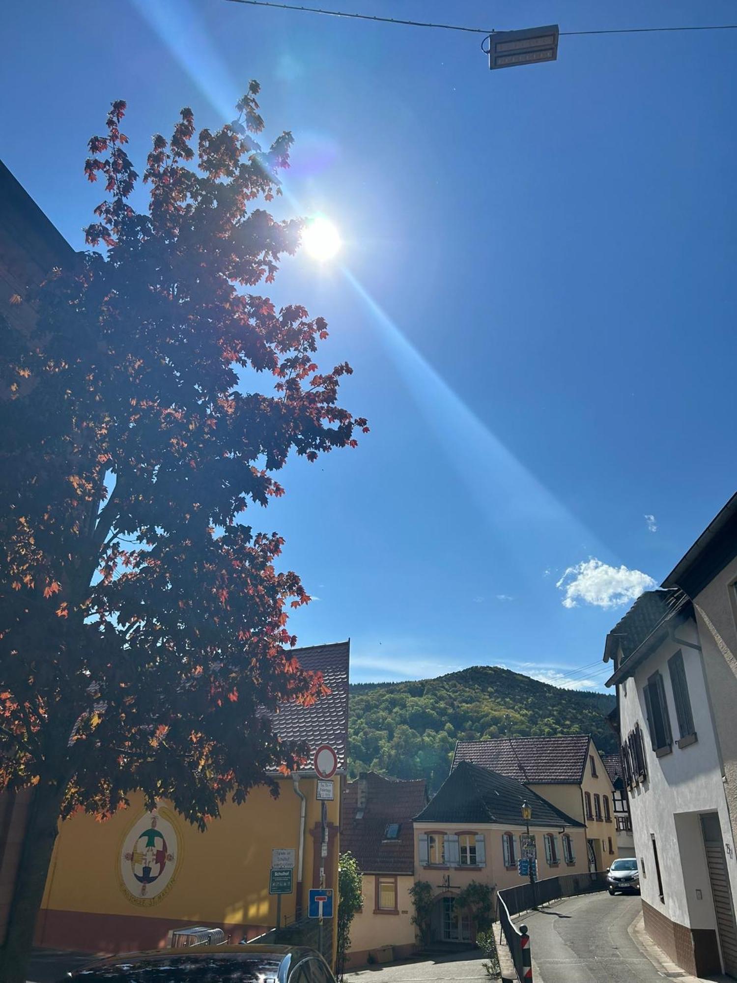 Haisel Vier * Sankt Martin