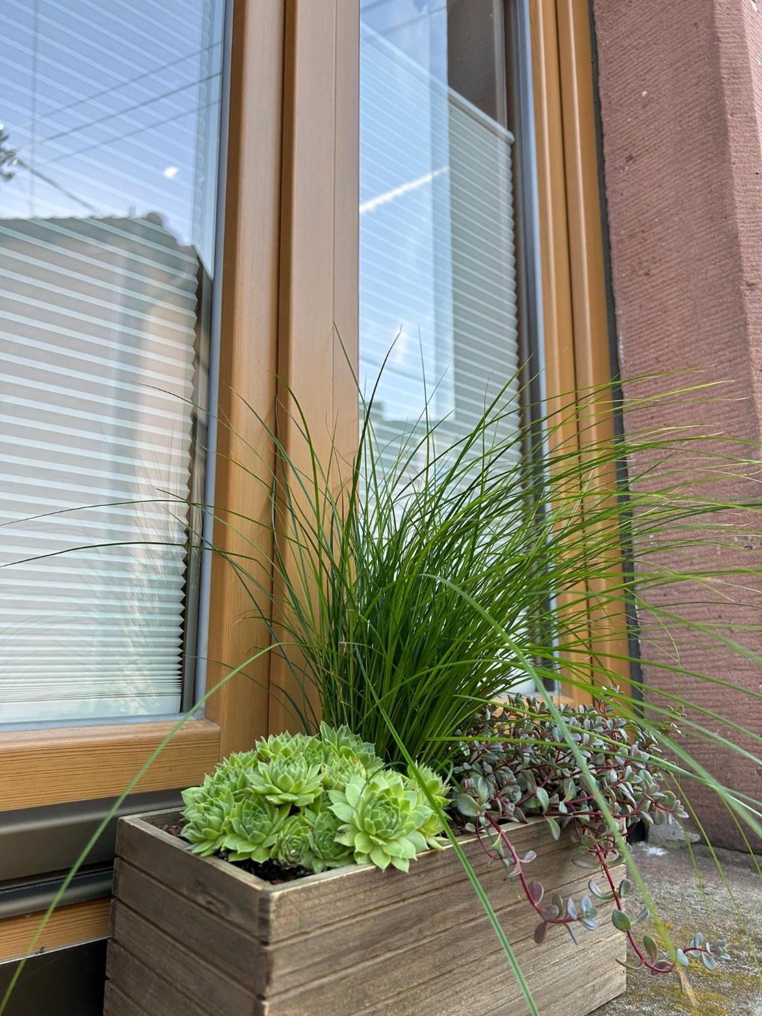 Haisel Vier Feriehus